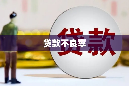 邵阳贷款不良率
