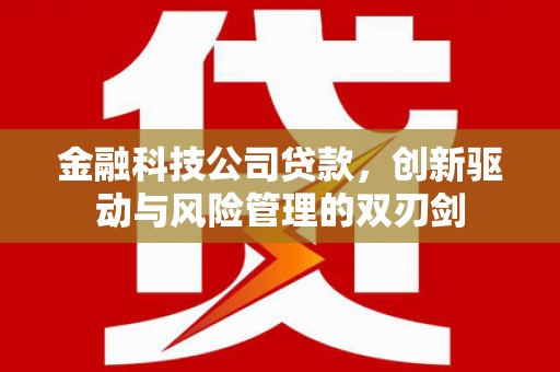 邵阳金融科技公司贷款，创新驱动与风险管理的双刃剑