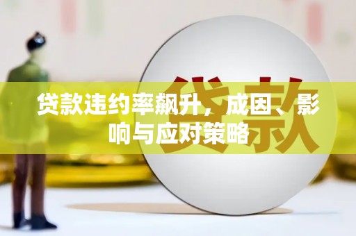 邵阳贷款违约率飙升，成因、影响与应对策略